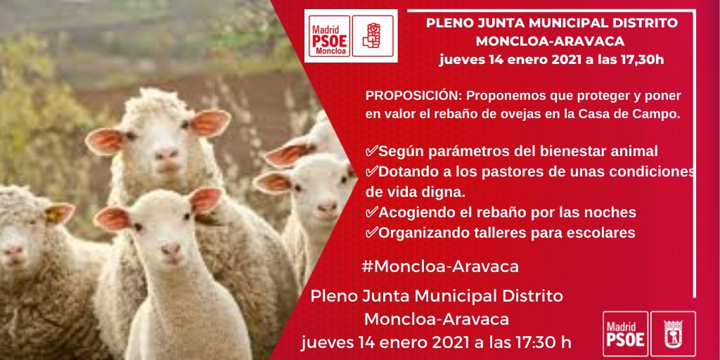 PSOEMoncloa's tweet photo. #Proposiciones #Pleno Junta Distrito #MoncloaAravaca 👏👏🌹🗓 Martes 19 enero a las 17,30h 👇 https://t.co/DCtnqzGUyF