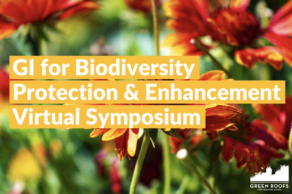 GreenInfraOn's tweet photo. Ecosystems are more resilient when they are diverse. Ensure your city-building and urban design practices increase biodiversity and minimize the loss of ecosystem services. This @GRHCna symposium is not to be missed! #UrbanBiodiversity #NativePlants https://t.co/mFwalRrjLL https://t.co/p3K472xZd3