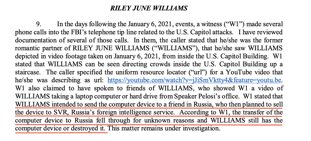 1. Breaking into the capital: felonious2. Stealing Pelosi's laptop: extremely bad3. Planning to sell it to Russia: so bad it's possibly crazt4. KNOWING WHICH INTEL SERVICE WOULD PURCHASE NANCY'S LAPTOP: ESPIONAGE CHARGES
