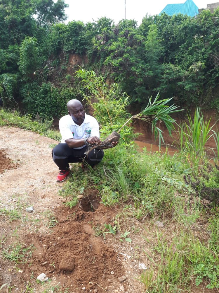 Atrabu_bdi's tweet photo. Indongozi @Atrabu_bdi barikumwe n'amashirahamwe yandi ayihurikiyemwo barifandikanije n'abandi mu bikorwa rusangi muri wa mugambi wa reta wo gukingira ibidukikije "Ewe #Burundi Urambaye",aho batera ibiti 4000 ku nkengera z'uruzi #Kizingwe iri muri komine #Muha @fdnbbi @MinCommerce https://t.co/Yv69jxULah