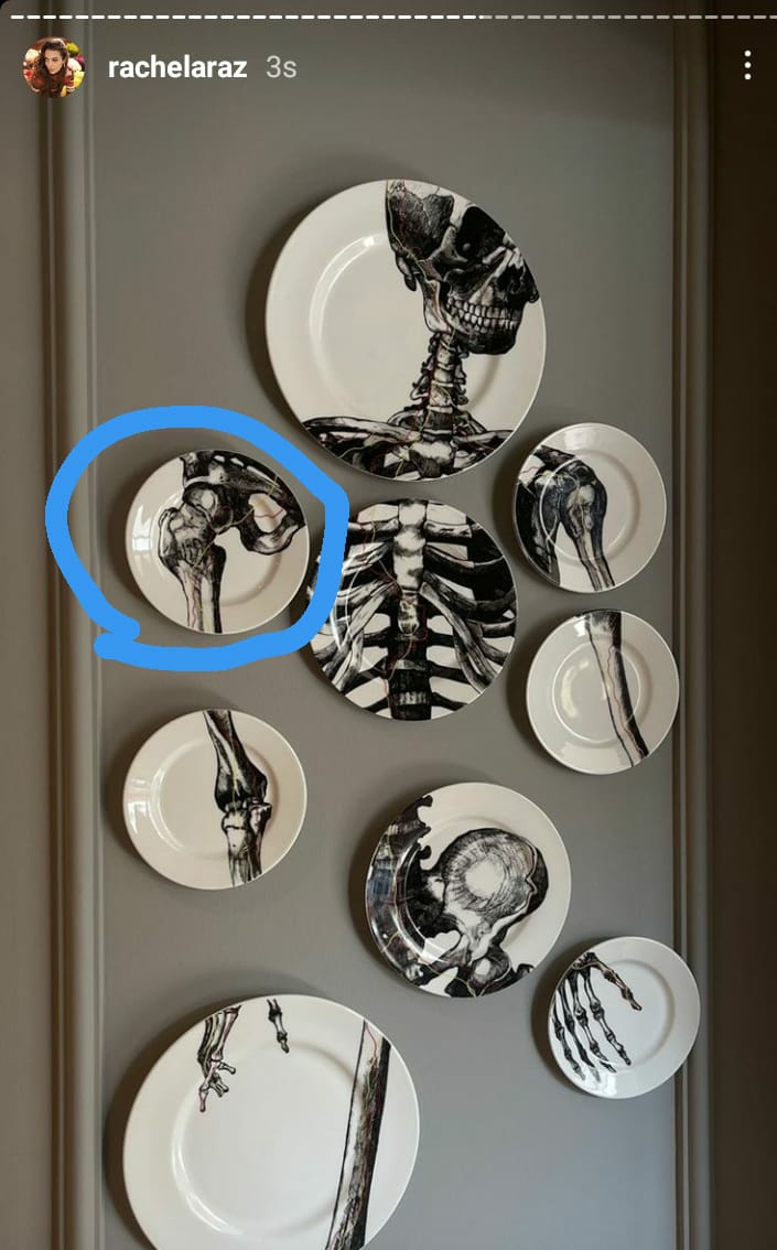 Bi insanın max anatomi bilgisi bu kadar olmalı işte