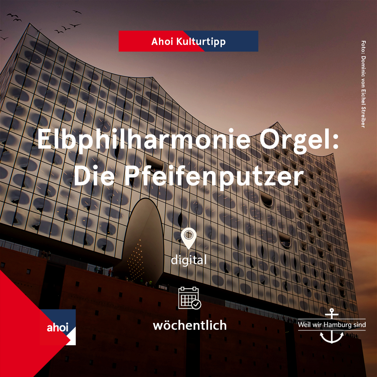 mein_hamburg's tweet photo. Ihr wolltet schon immer wissen, wie eigentlich die 4765 Pfeifen der insgesamt 25 Tonnen schweren Orgel in der Elphi gereinigt werden? 🤓 Die Pfeifenputzer nehmen euch digital mit auf die Reise und zeigen euch Eindrücke von den Reinigungsarbeiten! 😍 👉https://t.co/i4Sng0lILW https://t.co/6mSB8RirtL