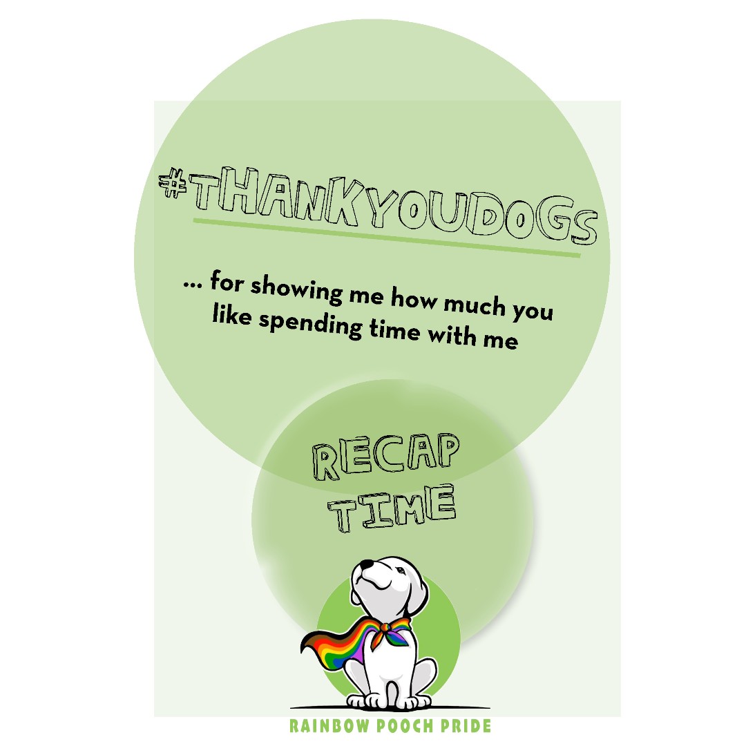 #thankyoudogs recap of the latest Doga session with the wonderful Suzi Teitelman!

Thank you to all of those who joined and we hope you had as much of a good time as we did!

#doga_girl #dogadog #dogyoga #suziteitelman #rainbowpoochpride #lgbtqdogparents