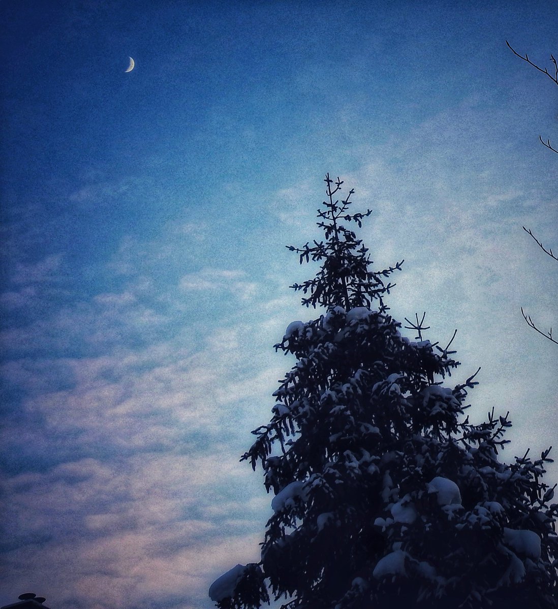 nevetine's tweet photo. #BlueMoonDay https://t.co/Deo0siCAXq