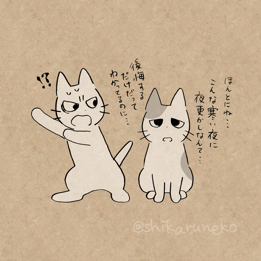 寒い夜になかなか寝ない人と、しかるねこと…? 