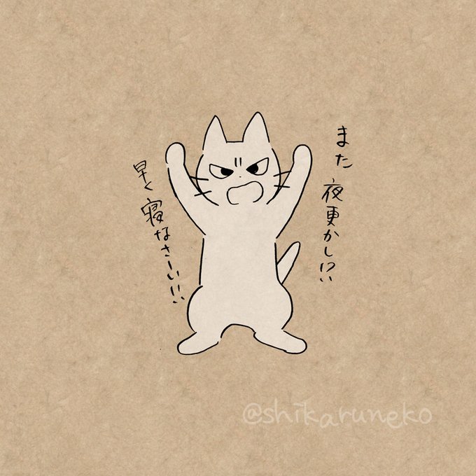 寒い夜になかなか寝ない人と、しかるねこと…? 