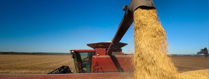 cattlefax's tweet photo. There were significant changes in the balance sheet for both #corn and #soybeans in the USDA crop production and #WASDE reports last week, resulting in tighter stocks-to-use levels. More from #CattleFax>> https://t.co/McXwoEwvyO
#USDA #grain #feedstuff #globalgrain https://t.co/clY1UzY0zT