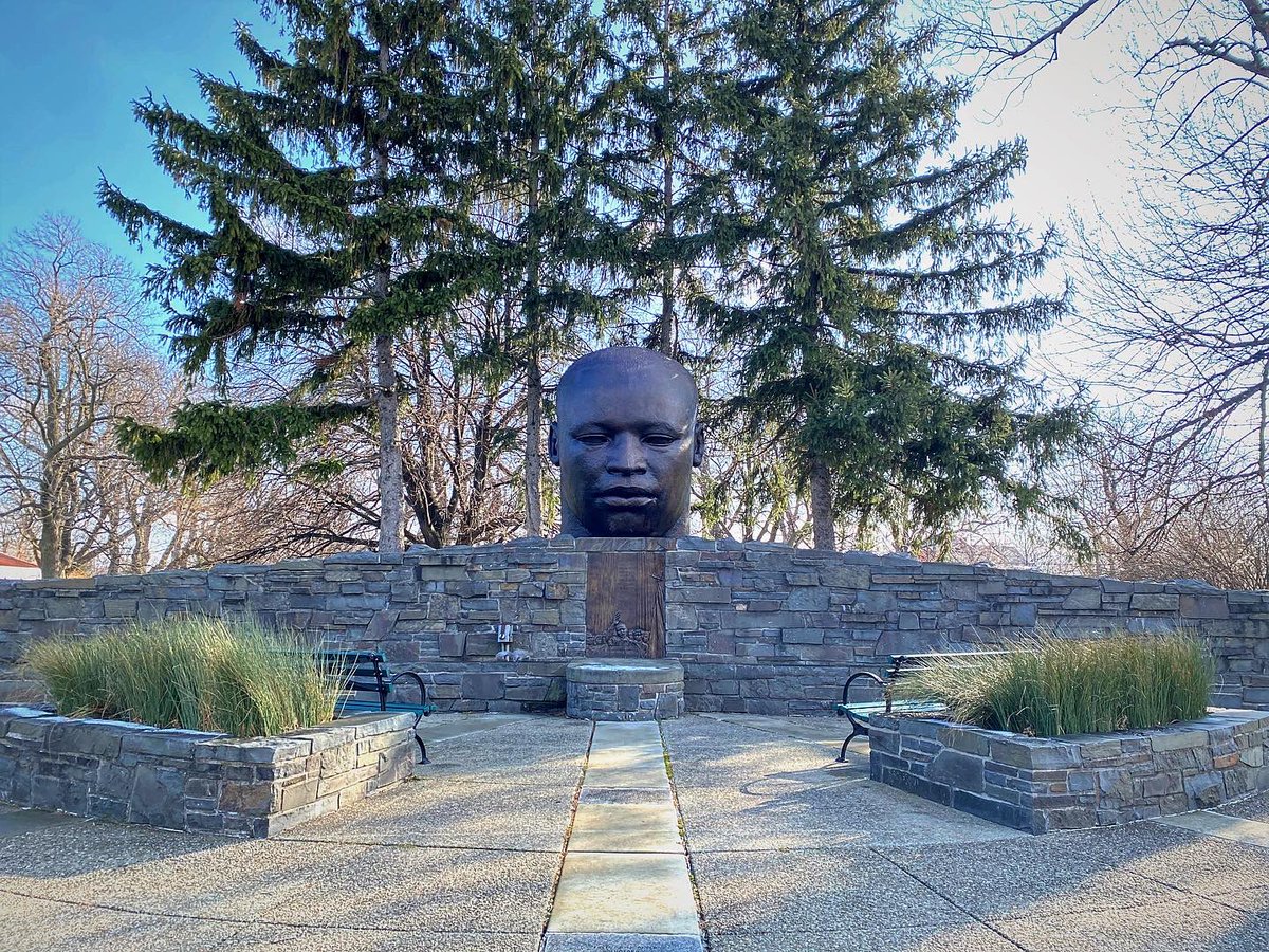 Explore Buffalo tweet media