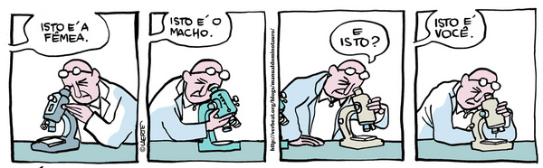 tira de 2009: 