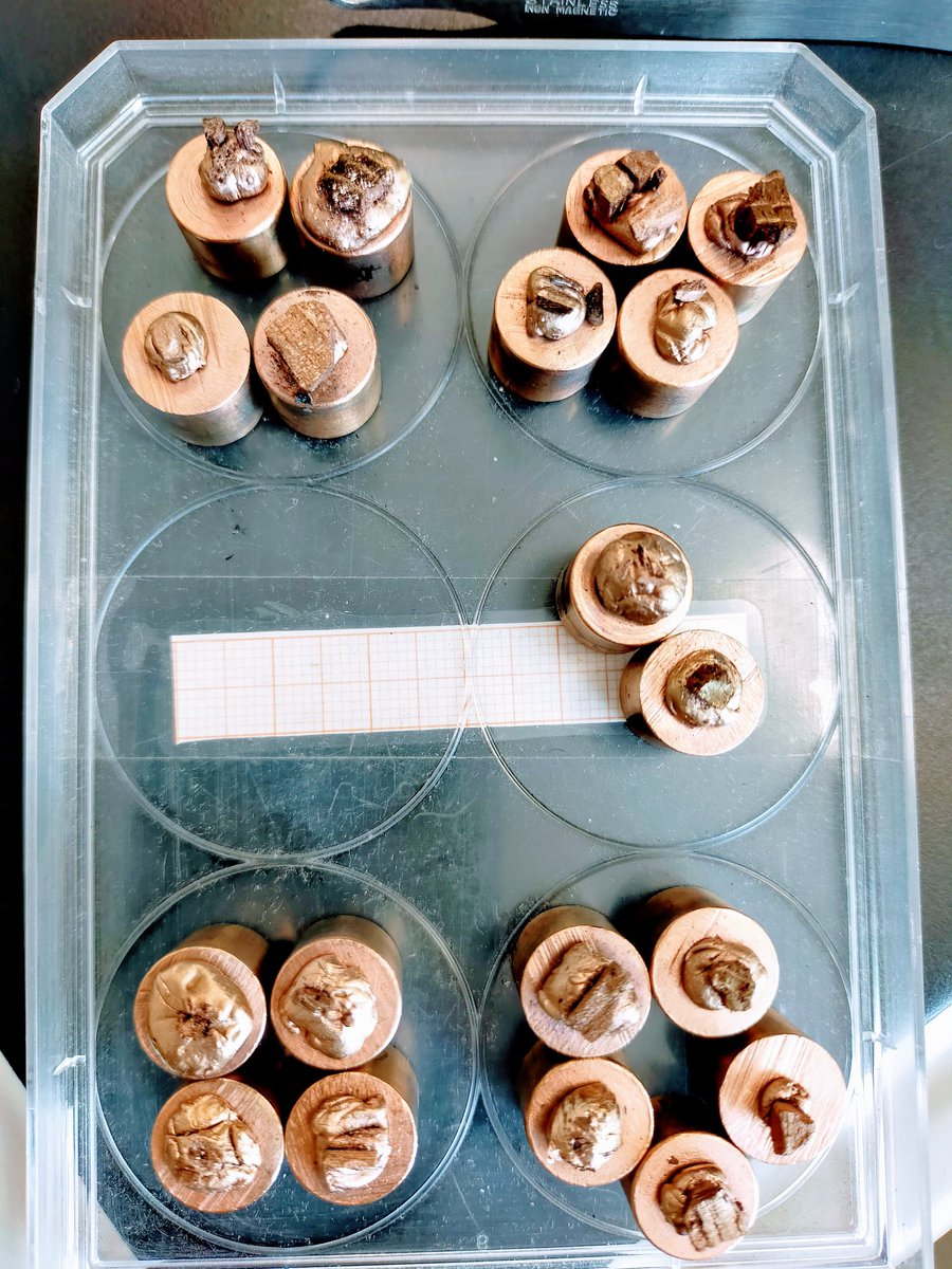 MMedinaAlcaide's tweet photo. Today, I worked in SEM-EDX with charcoal samples from prehistoric black marks and lighting remains 🕳️🔥🎨🌲🌳 @before_art @SCAInews #anthracology #internalarchaeologicalcontext https://t.co/60t0RfGOk8