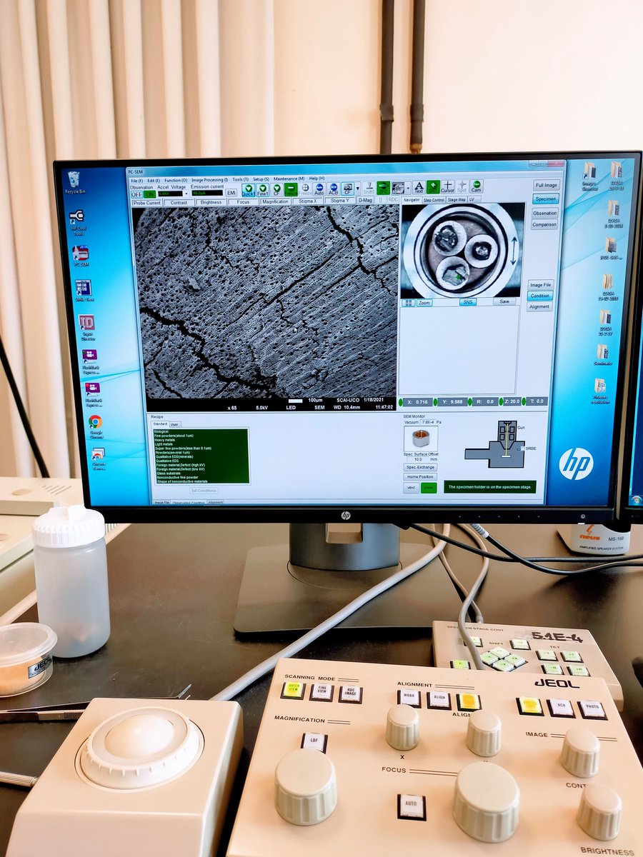 MMedinaAlcaide's tweet photo. Today, I worked in SEM-EDX with charcoal samples from prehistoric black marks and lighting remains 🕳️🔥🎨🌲🌳 @before_art @SCAInews #anthracology #internalarchaeologicalcontext https://t.co/60t0RfGOk8