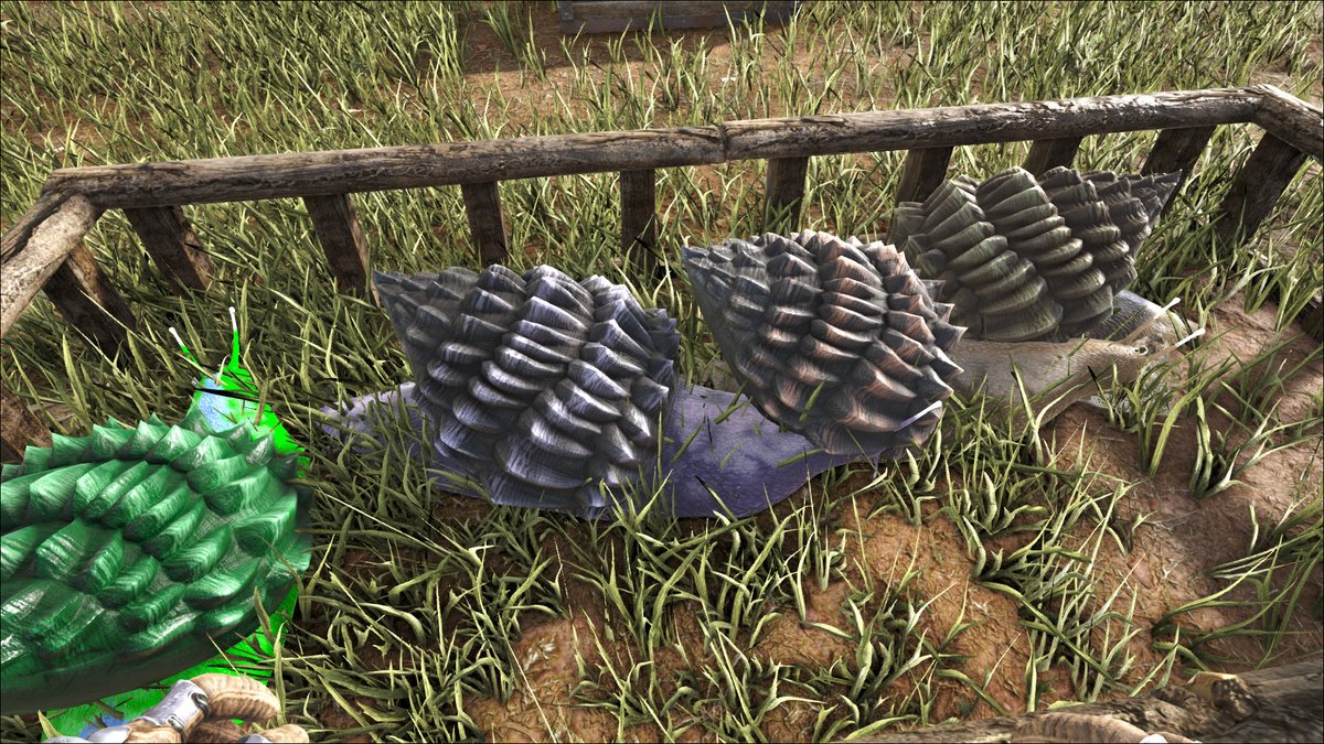 魔獣 だんちむ Danchimu1031 Twitter