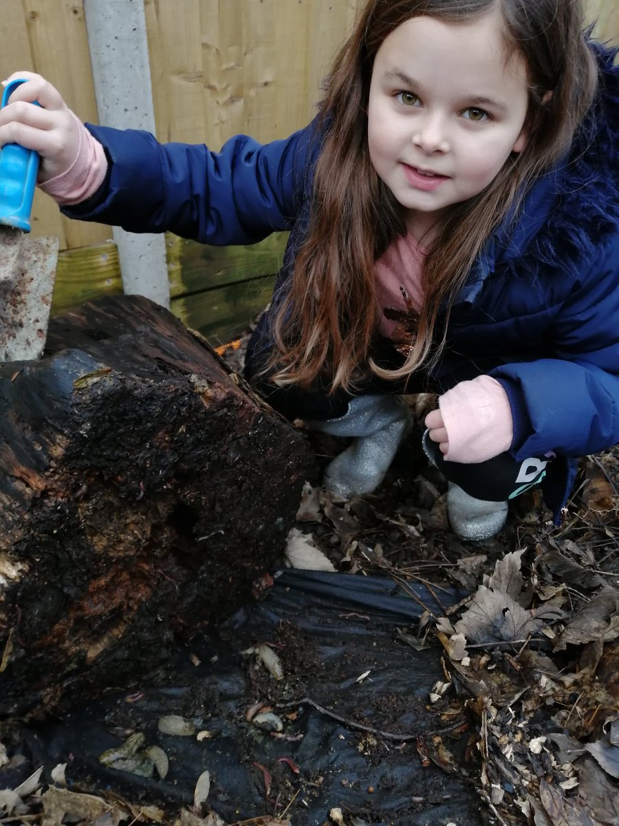 honour_kerry's tweet photo. @MissLilley1 Bug hunting. Looking for invertebrates. 🐌🐛🐜 https://t.co/EhNcyzq7SS