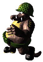 Klump: Custom ExplosherI just think it matches with him pretty well. The color kinda matches his helmet, and considering that he has this whole military theme going a weapon with “explosion” in the name just works.