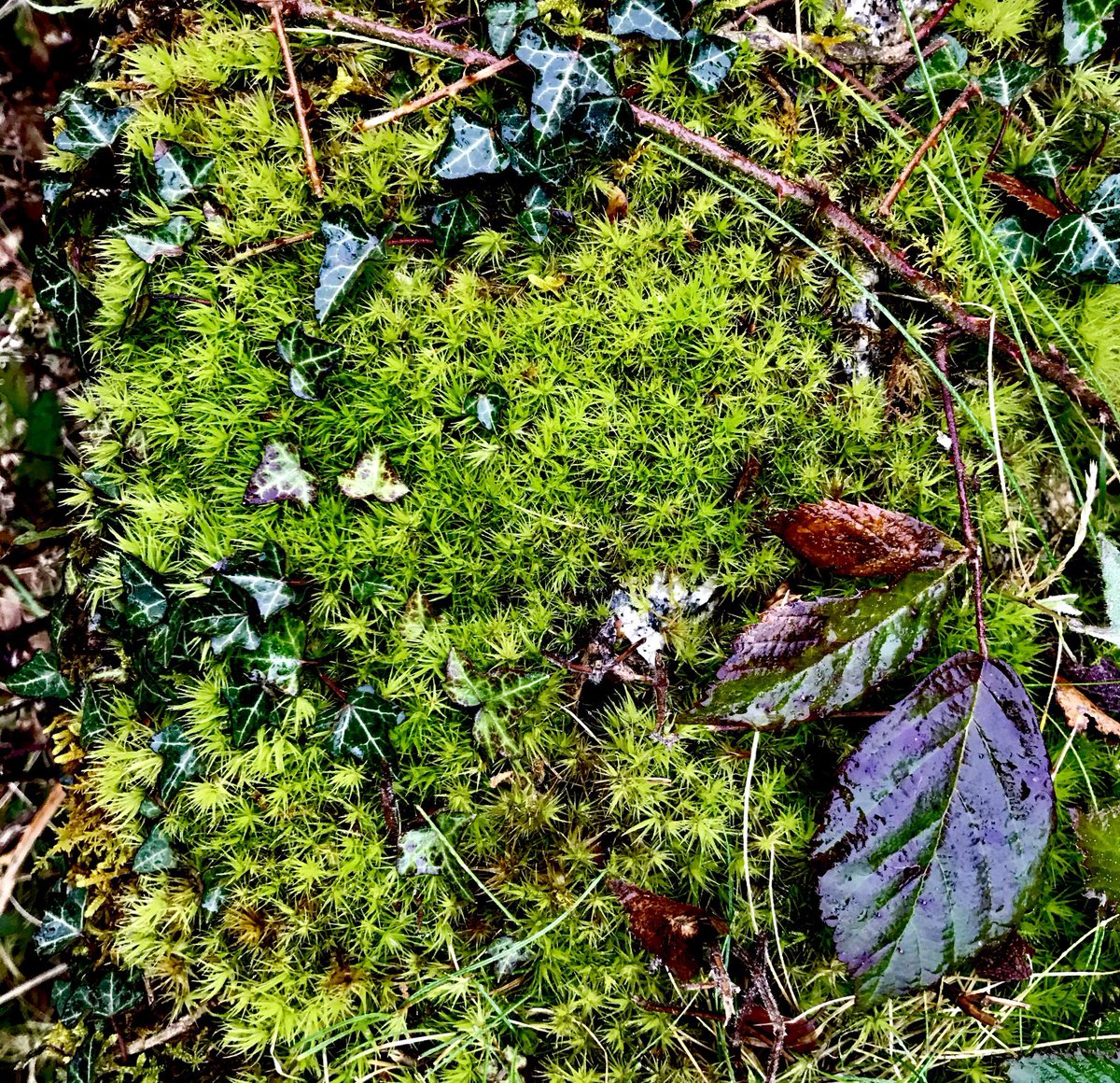 witchesetc's tweet image. 