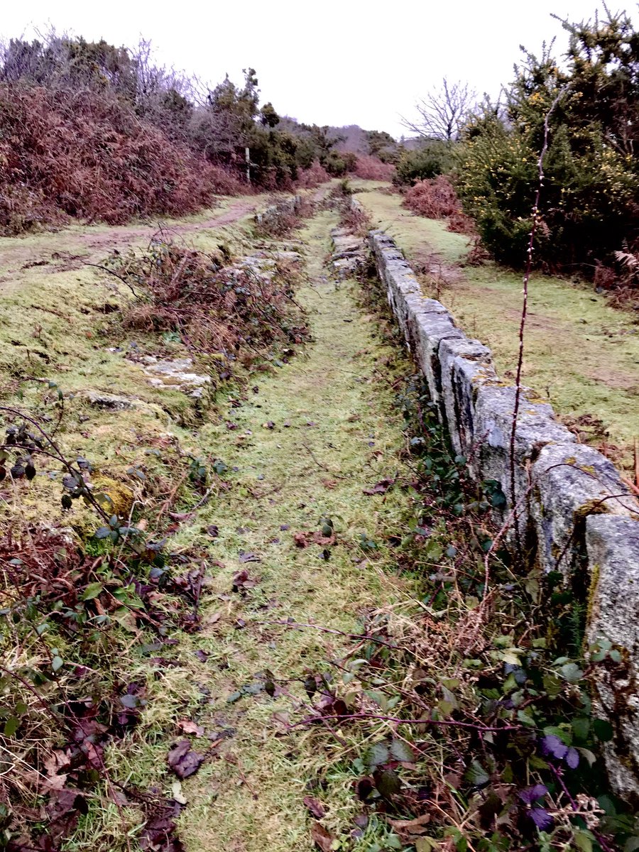 witchesetc's tweet image. 