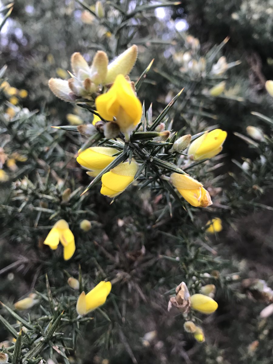 witchesetc's tweet image. 