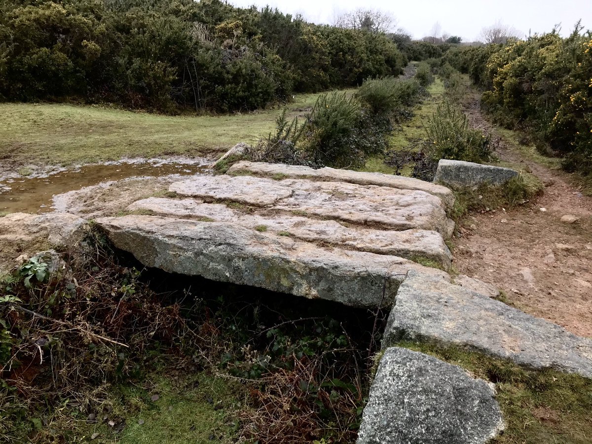 witchesetc's tweet image. 