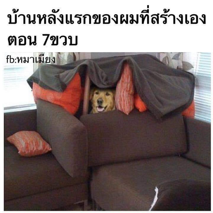 แข 🏳️‍🌈 tweet media