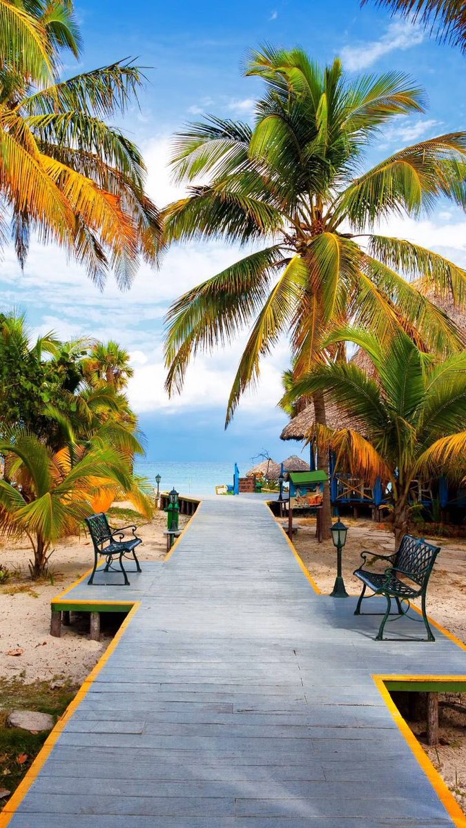 Wallpaper thread retweet and add yours