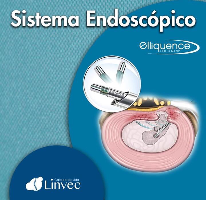 linvec_mx tweet picture
