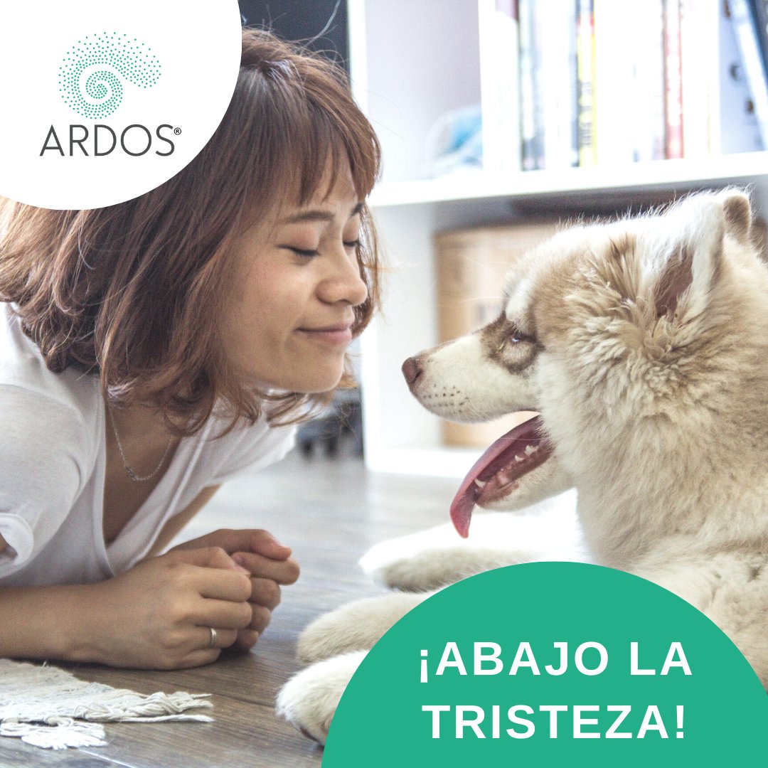 ardoslab's tweet photo. Está comprobado que, tener una mascota, nos hace personas más felices y con menos preocupaciones. 😄 Así que hoy, en 'el día más triste del año', te recomendamos que corras ya mismo a abrazar a ese peludito que te espera. 🐶🐱❤ #ArdosLab #BlueMonday https://t.co/PLtxNiZEX4