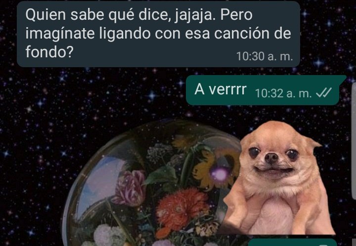 NinferiP's tweet photo. Nadie.... Neta nunca nadie. 
Mi mejor amiga recomendando canciones: https://t.co/deWihywCUS