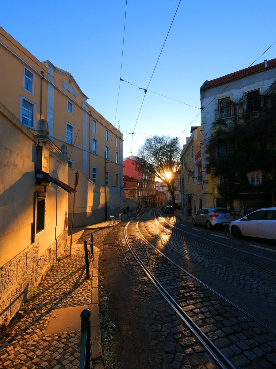 superandarilhos's tweet photo. Pôr do sol n'Alfama

#pordosol #sunset #alfama #superandarilho #turistaeterno #bokeh_bliss #perfect_countries #culturetrip #passionpassport #bestcityshots #helloworldpics #travel_drops #europe_perfection #besteuropephotos  #camaramunicipaldelisboa #visitlisboa #timeoutlisboa https://t.co/GKvkTHS10z
