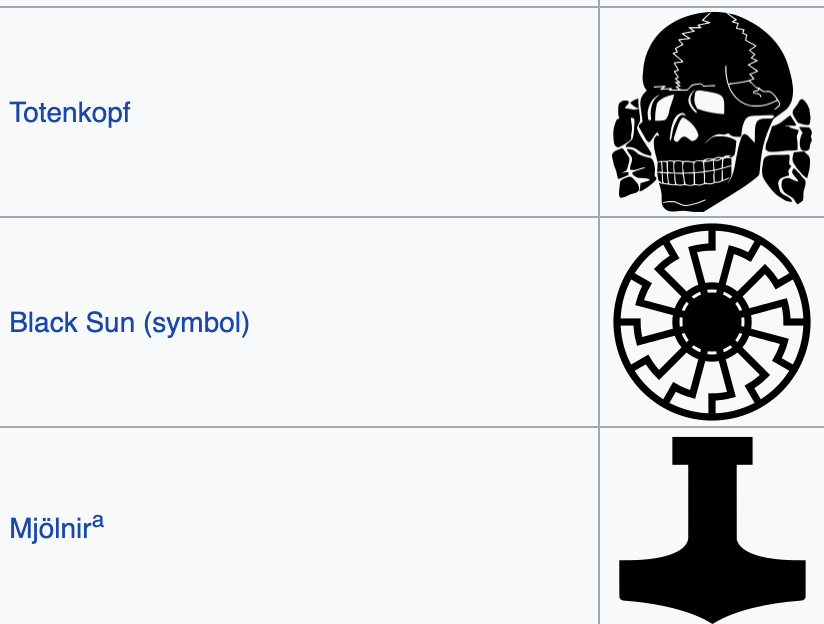 Something that bothered me about the Capitol coverage is that Furry Neo-Nazi (aka QAnon Shaman, but I really dislike using the word shaman) was covered with symbols that are pagan in origin and used by many nice, non-terrorist pagans, but in this context definitely neo-Nazi.