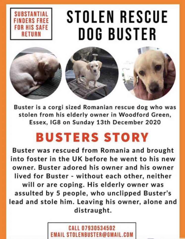 FOSTERFIRST1's tweet image. #k9hour #FosterFirst 💚🐾