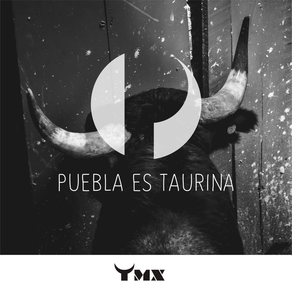 CasaToreros's tweet photo. #PueblaEsTaurina  la tradición  y cultura de la Tauromaquia debe respetarse, es parte de nuestra identidad https://t.co/UFZKMtL63E