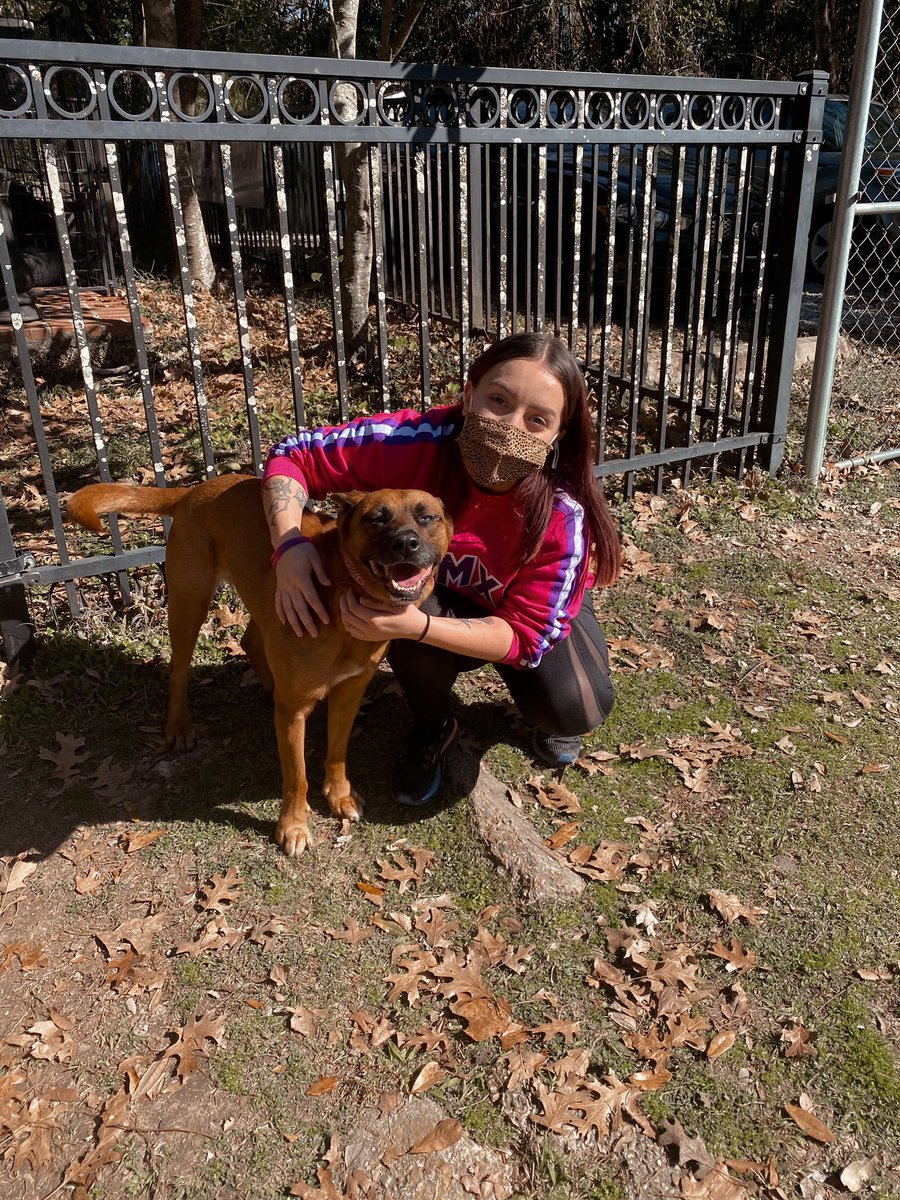 LSUGammas's tweet photo. MLK Day of Service 2021 was a PAWsome experience! 💜💕🐾🐶
.
#HErmosa#communityservice#dogadoptionhouse#lsu#slg#MLK#Slgserves#Dayofservice#Gammaswearmasks https://t.co/xw4rjM5i8q