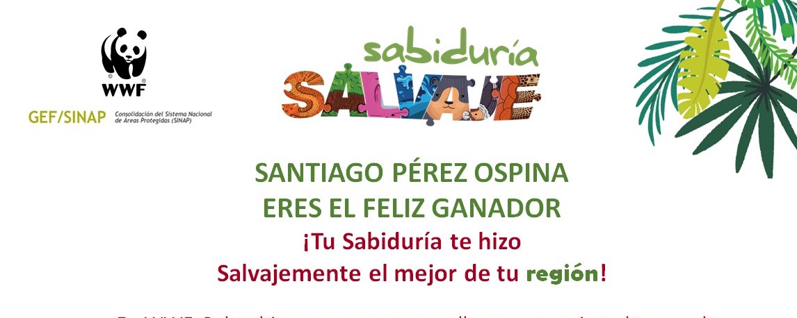 ComfenalcoCtg's tweet photo. #CECLogros2020 Entre 45 mil estudiantes de 122 colegios del país, Santiago Pérez Ospina estudiante de #CiudadEscolarComfenalco ocupó el tercer lugar nacional en la final, con el mejor puntaje de la región Caribe, del concurso SABIDURÍA SALVAJE organizado por @WWFColombia. https://t.co/iYBKStCh7K
