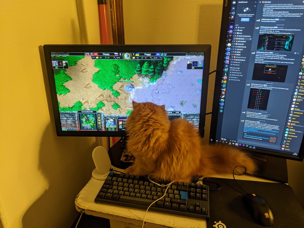 baillycha's tweet image. Gogo @foggywc3 thanks to @Back2Warcraft for the stream