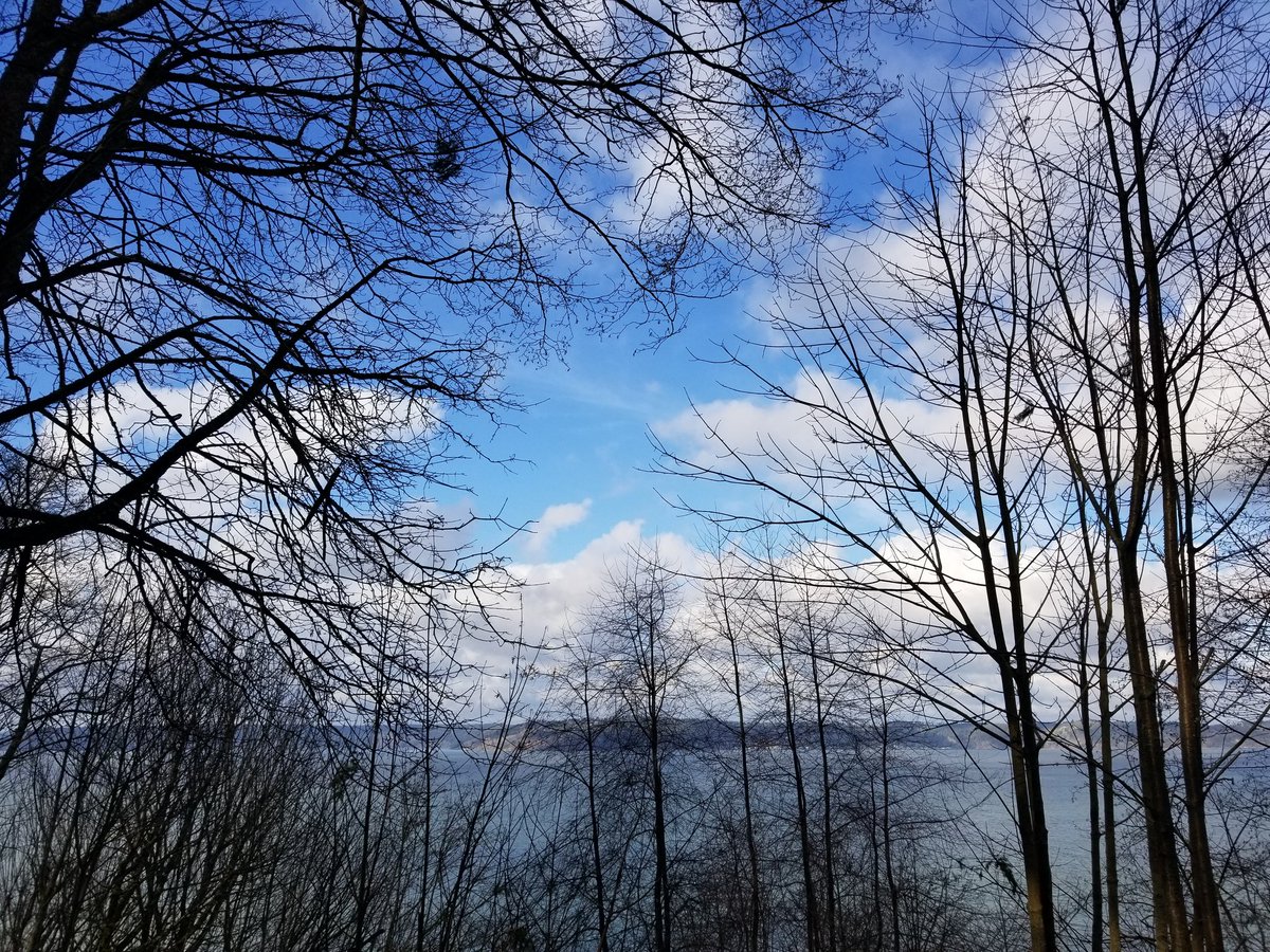 ryanlouie's tweet photo. #DashPointStatePark @WAStatePks @WaStatePks_WNTR @iheartkcparks #FederalWay @KingCountyWA @waDNR @WDFW @EcologyWA @AllTrails @WTA_hikers @ExperienceWA https://t.co/ZfRxgu7yAu