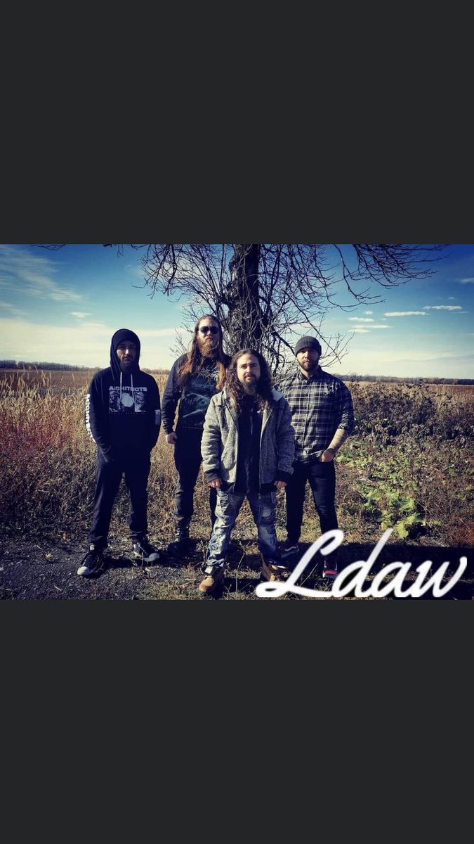 last dance among wolves tweet media