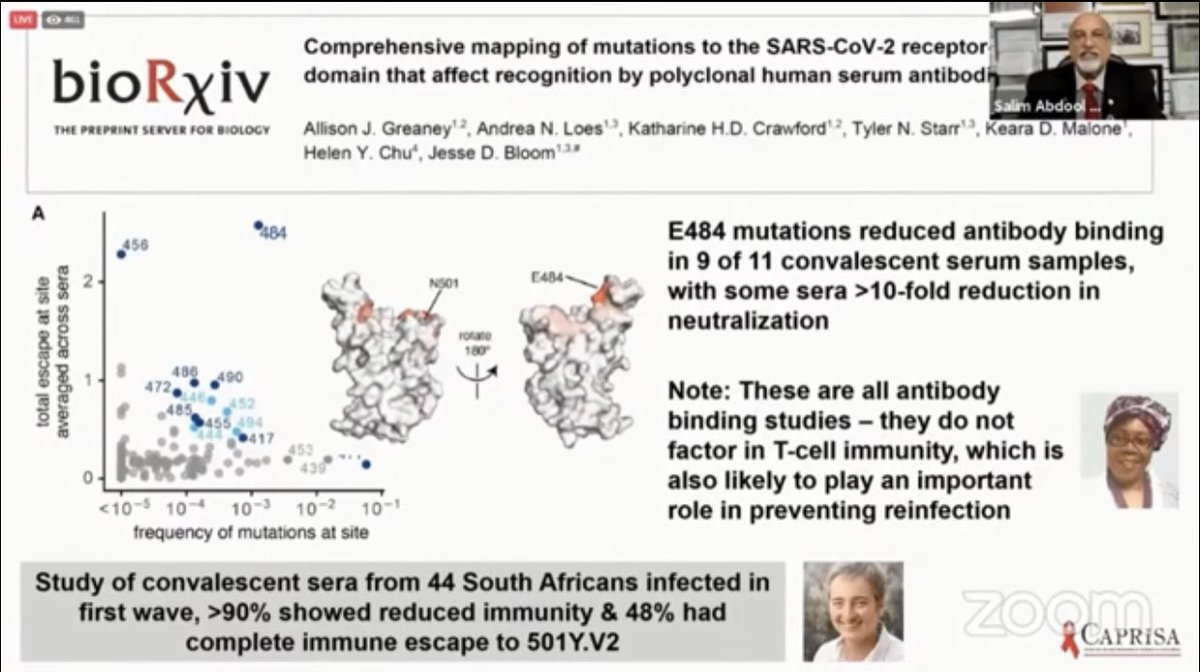 WORRISOME ON *E484* MUTATION—New study from blood of 44 people infected in 1st wave in S Africa🇿🇦 was tested against new #SARSCoV2 variant #B1135 (501Y.V2)—found antibodies from **21 of 44 did not recognize** the new B1125 variant—Almost half! #COVID19 🧵 youtu.be/Ja_tLG8CLAc