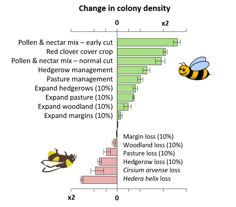 6/6: Using a modelling approach, we test the effect of different farmland management scenarios and find some promising strategies for plugging the late-summer nectar gap and supporting bumblebee populations on farmland.