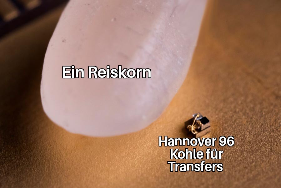 memes_96's tweet photo. Ich bin mir sicher, dass bald die ganz ganz großen Namen kommen! #H96 #NiemalsAllein #Hannover96 #Hannover https://t.co/UYznpD3UrC