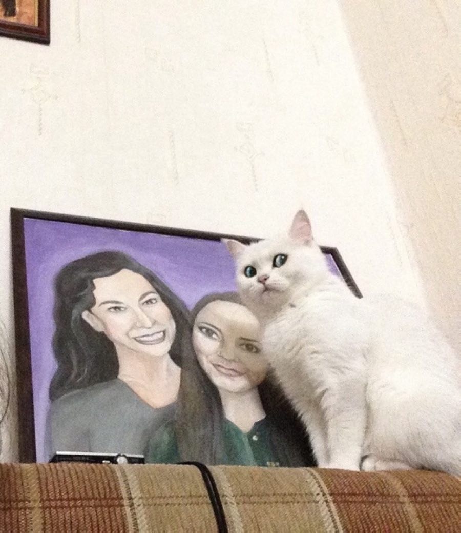 ObviouslyCursed's tweet photo. cursed image 4538 #cursedimage https://t.co/WmBzElKPMr