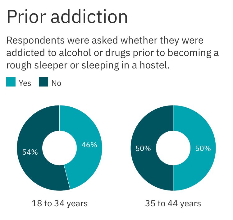 48% of those surveyed by #RTEInvestigates were not addicted to drugs before becoming homeless. Among the younger age groups the rate of addiction is even higher. For those aged 18-34, 71% turned to drugs, despite no previous history of drug addiction