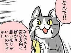 今日も一日 