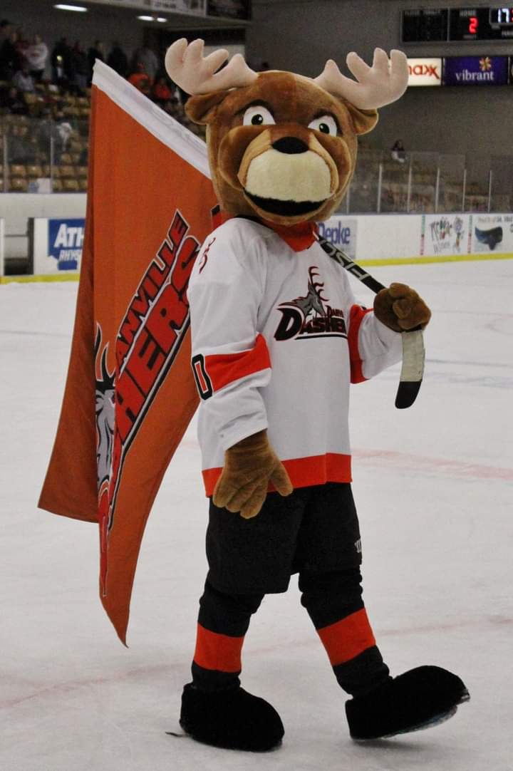 Join us in wishing our super star Dash a belated Happy Birthday. 🥰As soon as we are able to get back on the ice, Dash insists that he will be throwing himself a birthday bash.