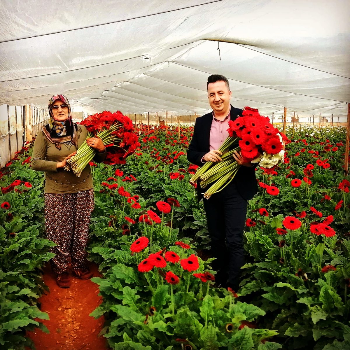 Aksu tarım ilçe müdürlüğü