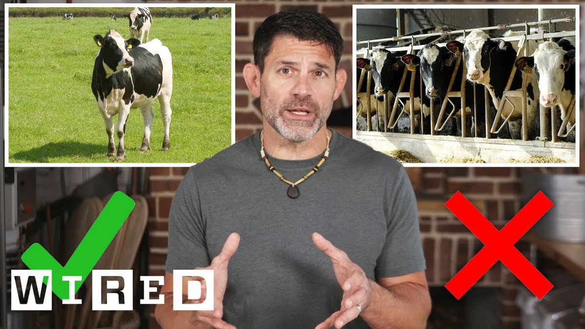 “Are humans designed to consume dairy as adults?”
The answer . . . ABSOLUTELY NOT . . . but, it’s a ridiculous question in the first place.

Take a listen as I discuss the specifics on this latest piece for <a href="/WIRED/">WIRED</a> 

youtu.be/54afWJXWLYc

#eatlikeahuman #fermentedfoods #dairy