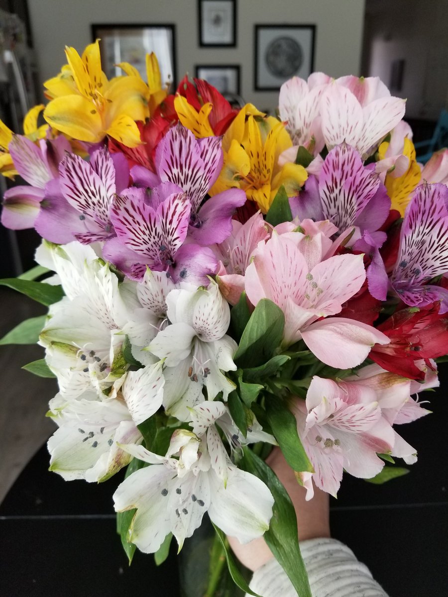 One more shoutout to <a href="/terrain_io/">Terrain.io 👾</a> for the amazing flowers. 10 days and they are still brightening my life!

I think sending flowers to #smallbusinessowners was an AMAZING way to start 2021 on a high note.

THANK YOU! ❤🌷🎉💐