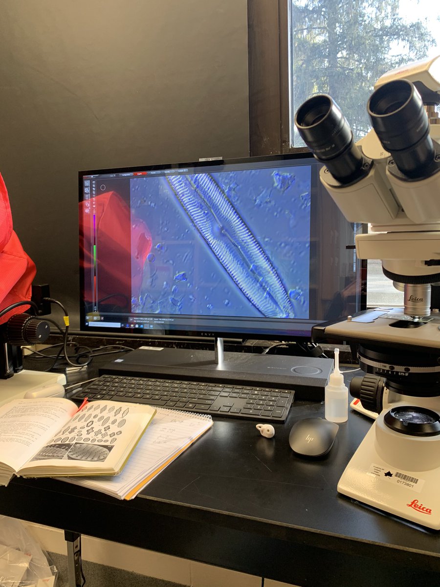 AddisonBlaydes's tweet photo. Tomorrow officially begins a new journey, the start of my Masters program at ISU! Looking forward to delving into the tiny world of diatoms every day! Excited to share this with you all! #diatoms https://t.co/U9WeYwuOOU