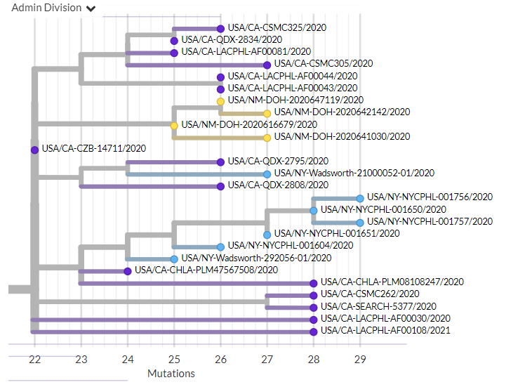 We can see clusters of sequences in other states - like these in New Mexico, New York (pic 1), & Wyoming (pic 2) - which suggest local transmission in states outside of California.6/10