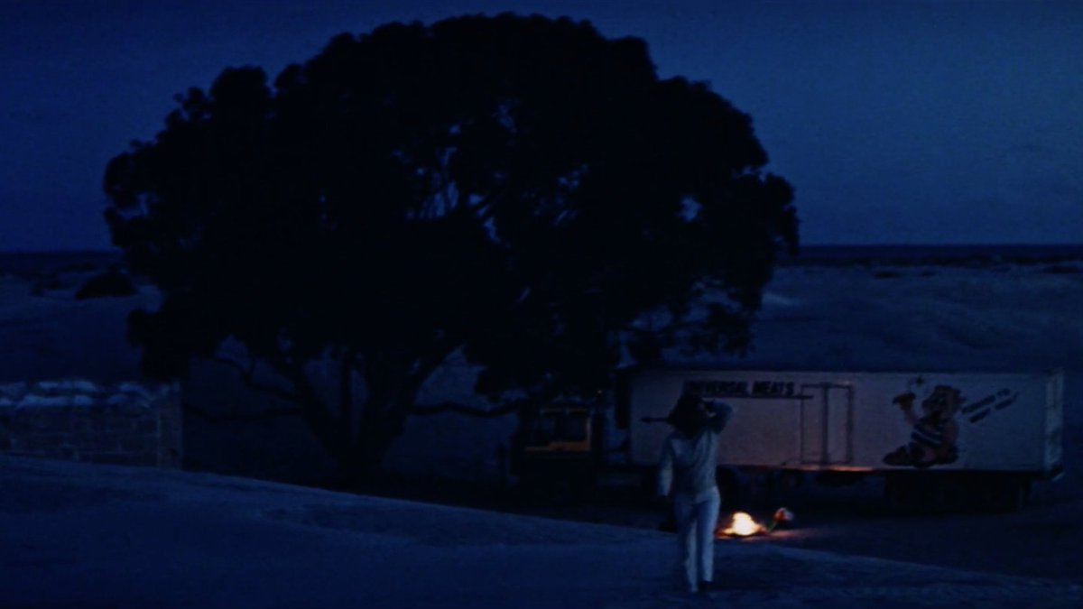 ROADGAMES (Franklin, 1981)