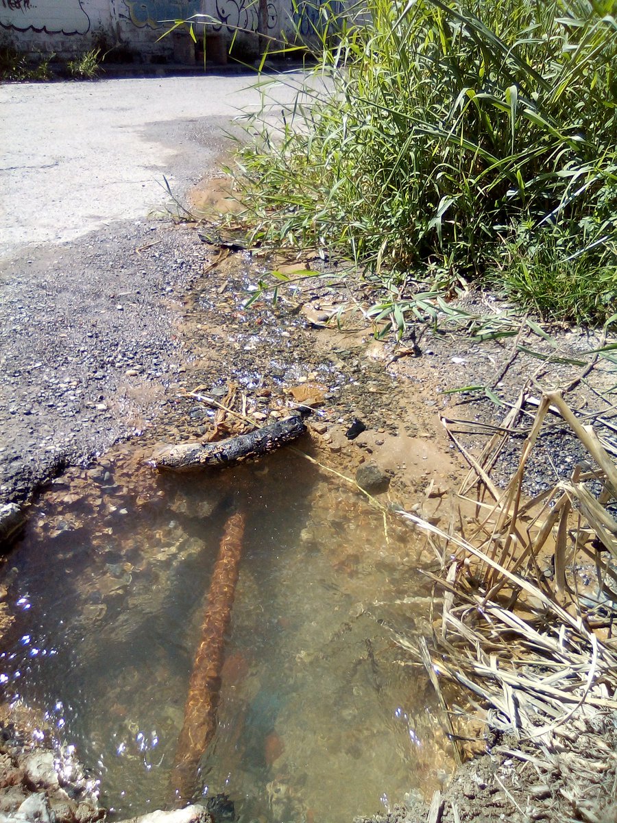 taucetinet's tweet photo. Estimadas @JackieCPSUV @ErikaPSUV hacemos de su conocimiento cerca del CDI en Caricuao #UD6 existe un bote de agua potable desde hace semanas. Por favor, es urgente su reparación el #AGUA se pierde para siempre. CC: @HidroCapital2 #Hidrocapital @MVzlaBella @mppaaguas_ @CarinaCcs https://t.co/CSDdMeCTz5